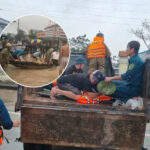 Giá vàng hôm nay 29/10/2025: lao dốc không phanh