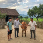 Nữ tỷ phú sỉ nhục cựu chiến binh ở máy bay, 10 phút sau cô ta phải quỳ gối xin tha mất hết sự nghiệp