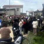 vjdeo chủ chỉ đạo thú cưng tấn công người dã man