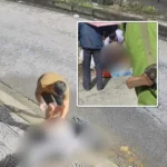 Khầy dạy lái xe mà tận tình chu đáo quá