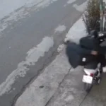 Ôi giồi ôi luôn