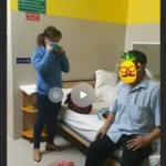 vjdeo chủ chỉ đạo thú cưng tấn công người dã man