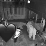 8phuts điỉnh nóc kịch trần của e Hot Girl Pickeball n0ng nhất lúc này.