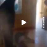 Vjdeo con trai phát hiện bố vào nn cùng ng iu