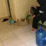 Cljp hốt cot ở miền tây