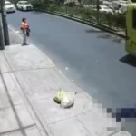 Hoá khiếp cả vợ luôn