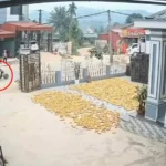 Các cháu giờ manh động quá